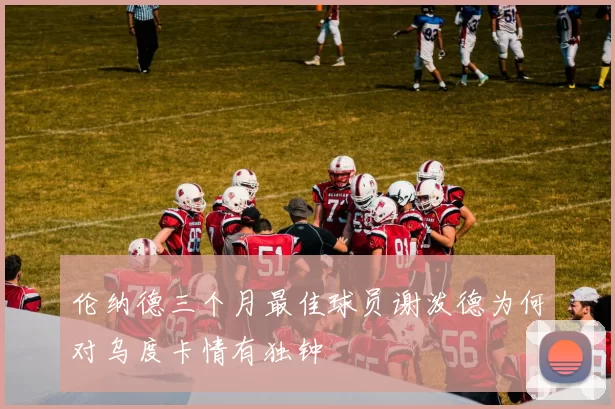 伦纳德三个月最佳球员谢泼德为何对乌度卡情有独钟