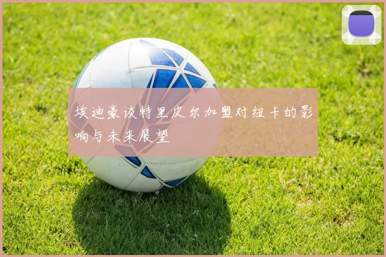 埃迪豪谈特里皮尔加盟对纽卡的影响与未来展望